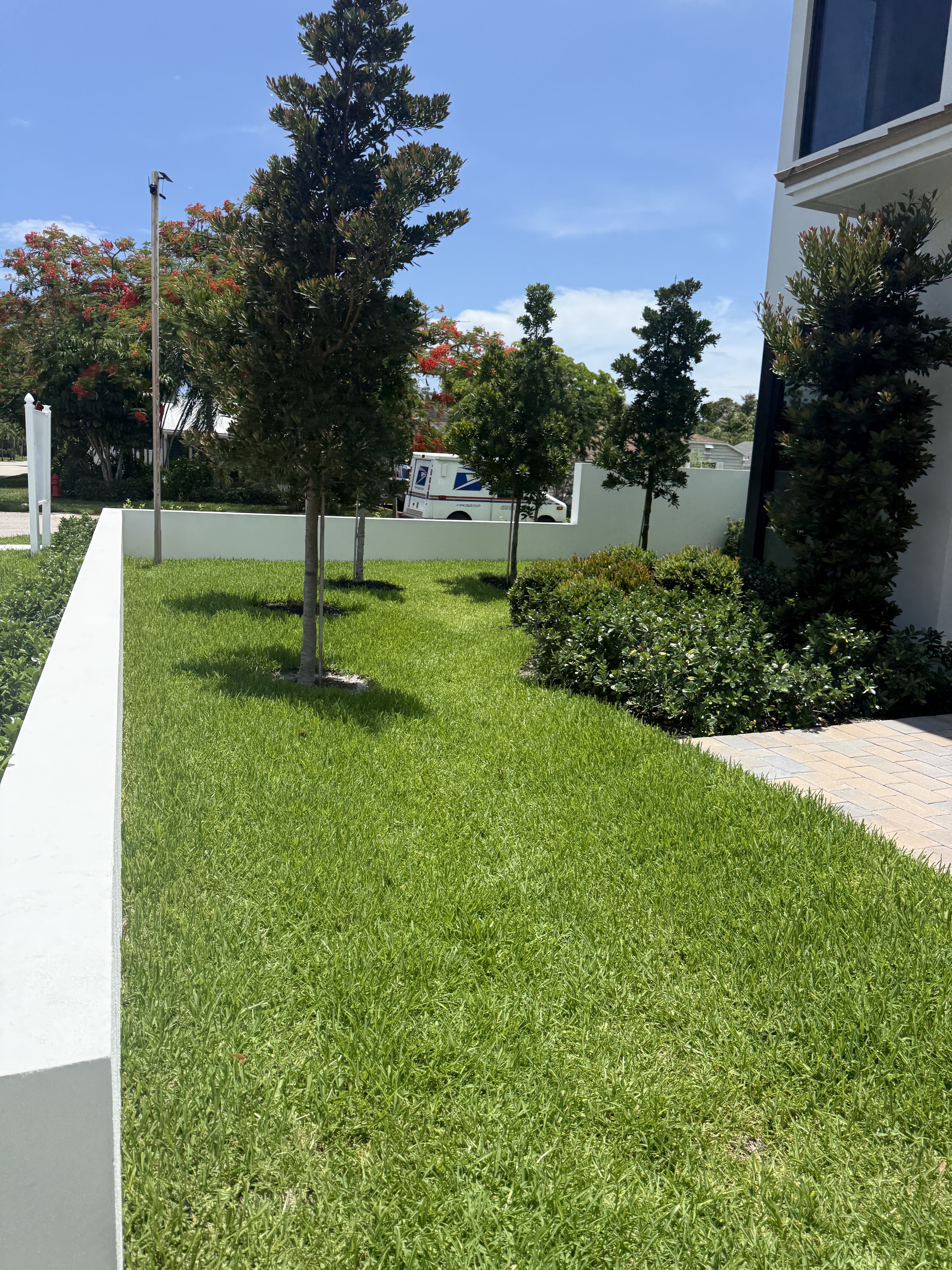 Lush green lawn with newly planted trees beside a modern Fort Lauderdale home