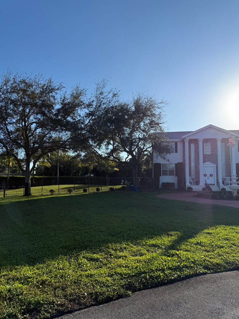 Glade Palm Lawn Care — Had A Good Experience?