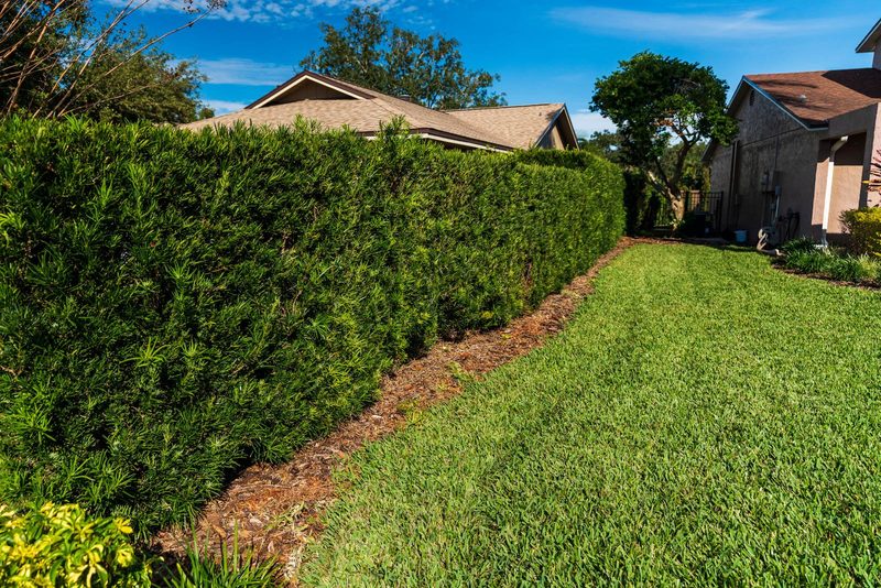 Glade Palm Lawn Care — Landscape Artistry, on a Schedule