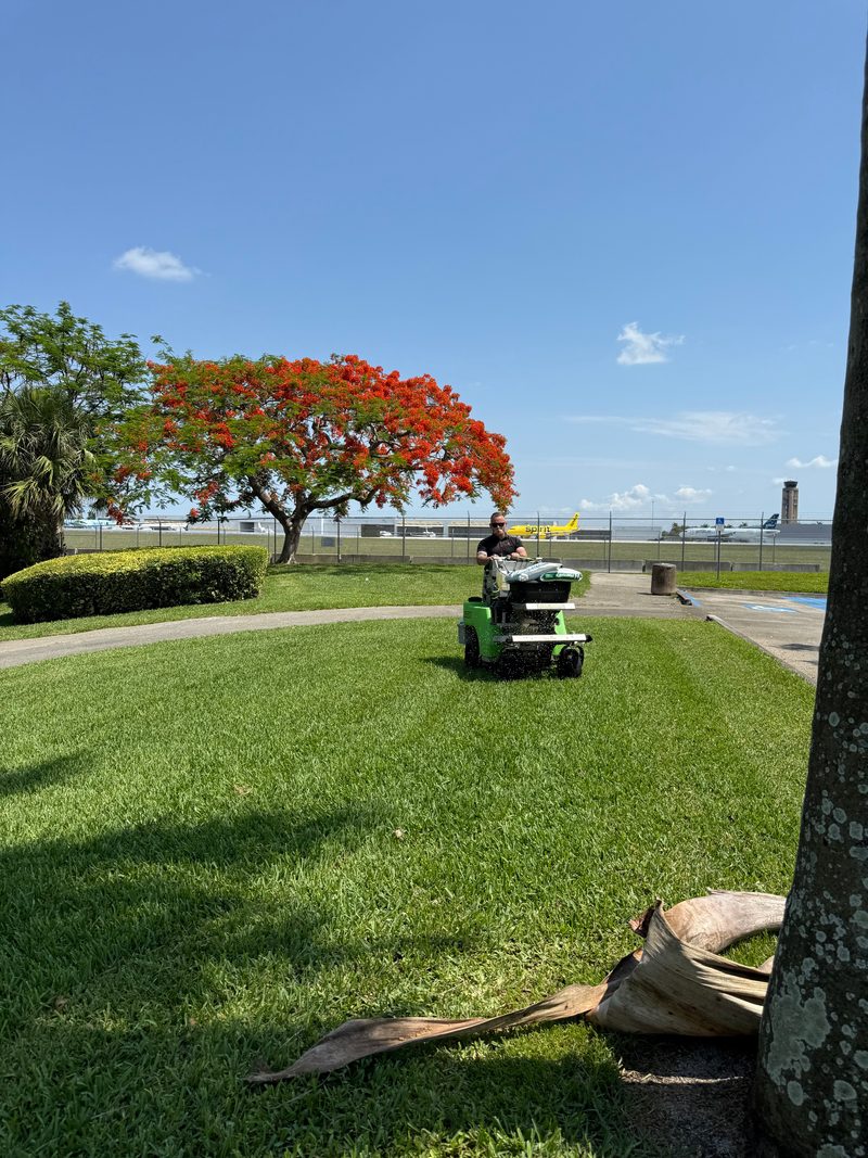 Glade Palm Lawn Care — Palms, Trees and Shrubs, Treated as Their Own Discipline
