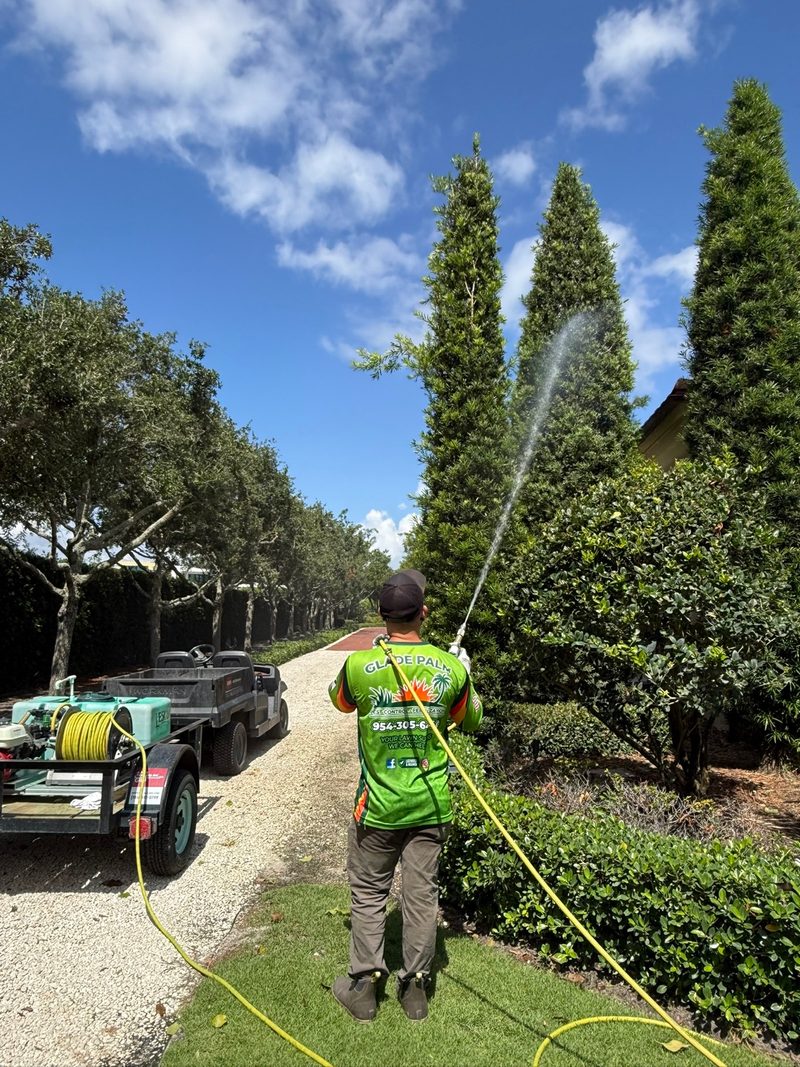 Glade Palm Lawn Care work photo 5