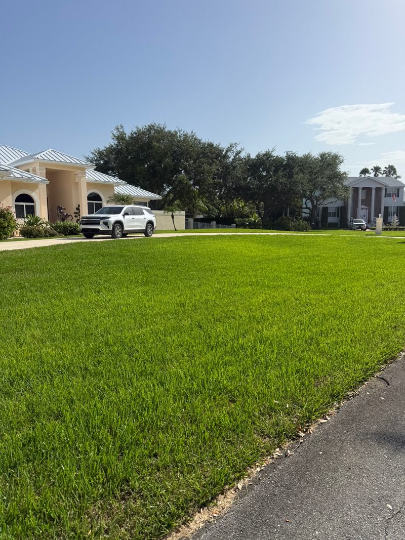 Glade Palm Lawn Care work photo 3