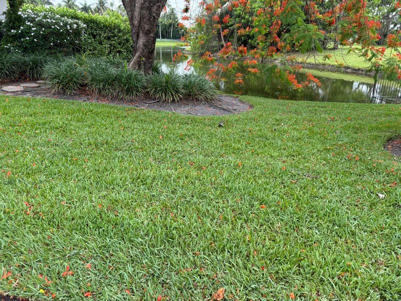 Glade Palm Lawn Care work photo 22