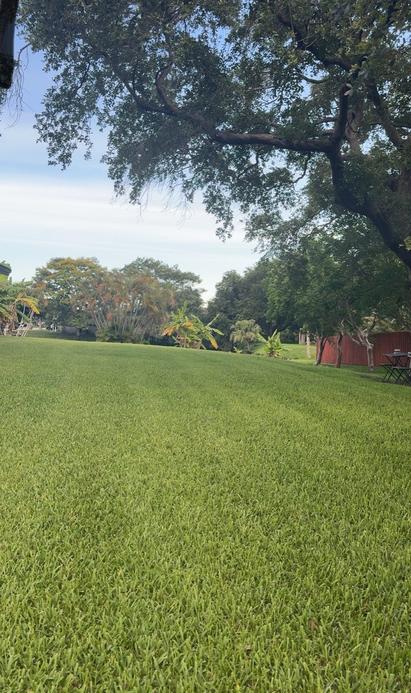 Glade Palm Lawn Care work photo 4