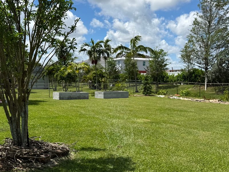 Glade Palm Lawn Care work photo 19