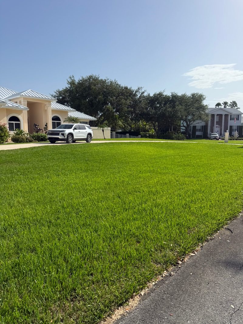 Glade Palm Lawn Care work photo 24
