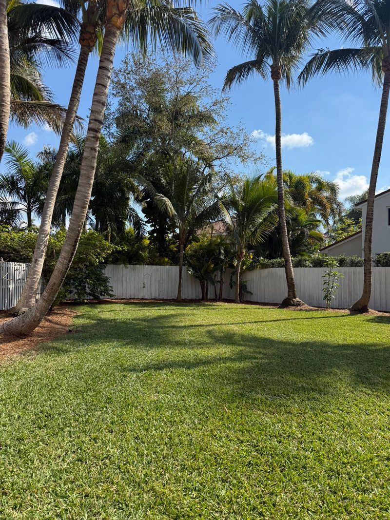 Glade Palm Lawn Care work photo 17