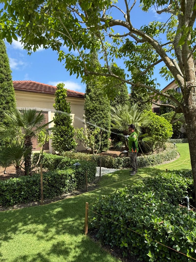Glade Palm Lawn Care work photo 20