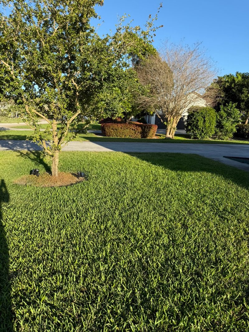 Glade Palm Lawn Care work photo 13