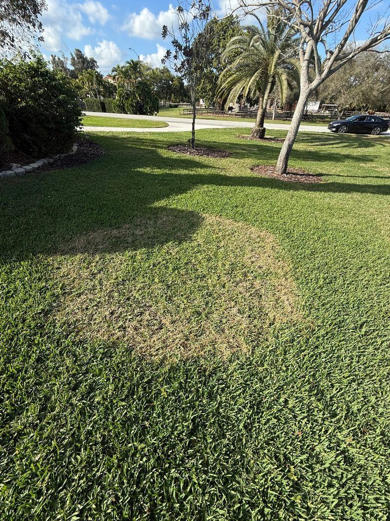 Glade Palm Lawn Care work photo 11
