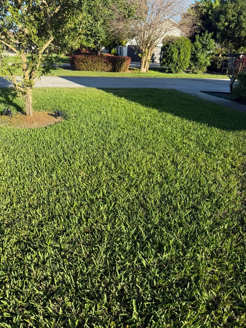Glade Palm Lawn Care work photo 12