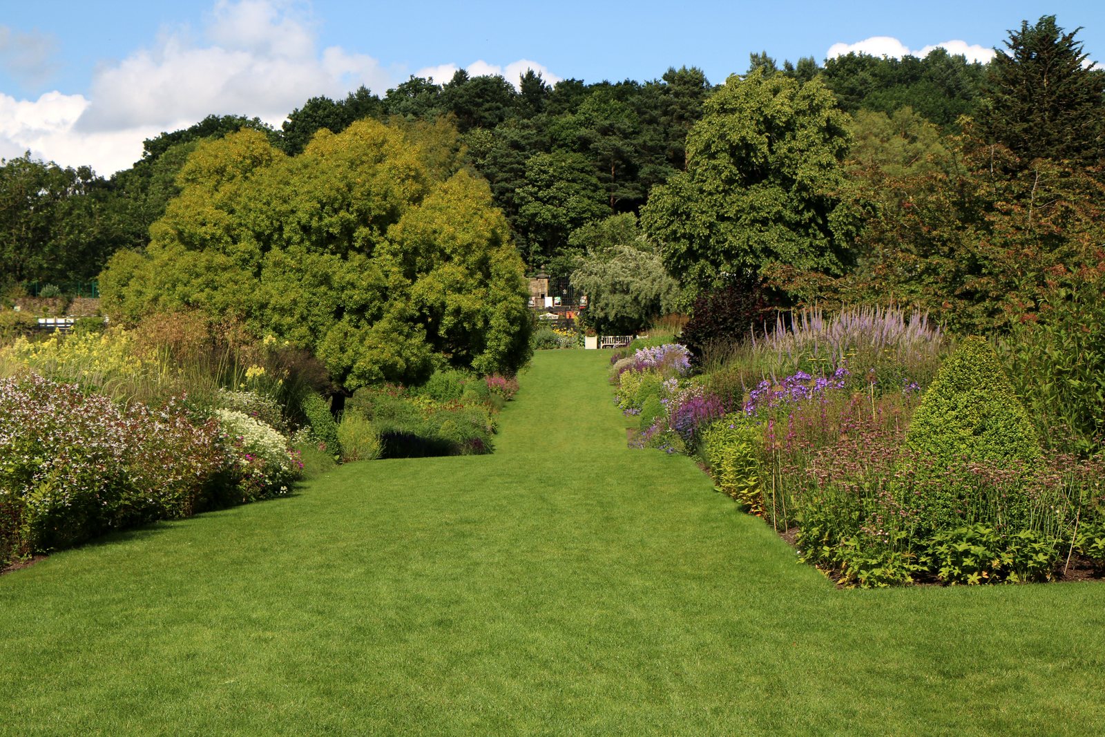 Glade Palm Lawn Care — Working Between Visits, Not Just On The Day